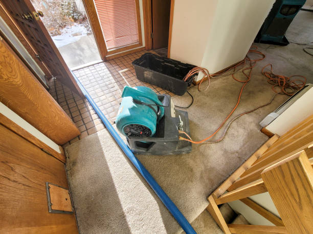 Best Flood restoration services  in Chattahoochee, FL