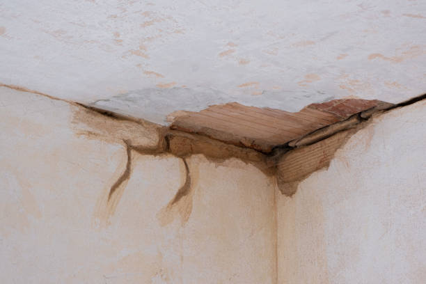 Best Ceiling water damage repair  in Chattahoochee, FL