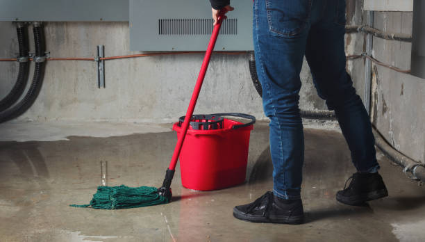 Best Carpet water damage restoration  in Chattahoochee, FL