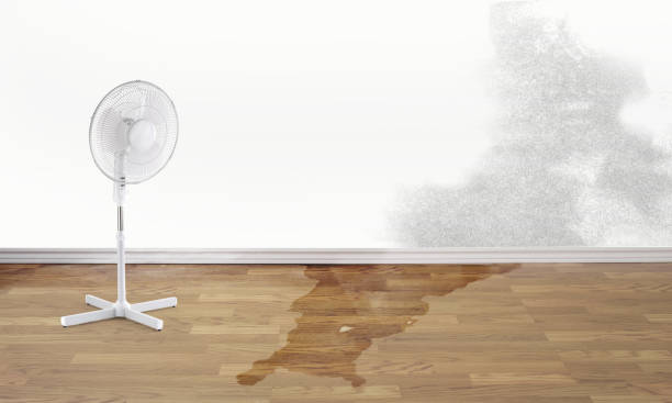 Best Residential water damage restoration  in Chattahoochee, FL