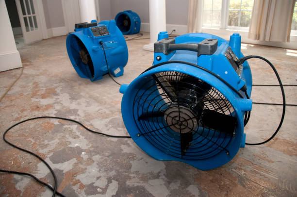 Best Local water damage restoration  in Chattahoochee, FL