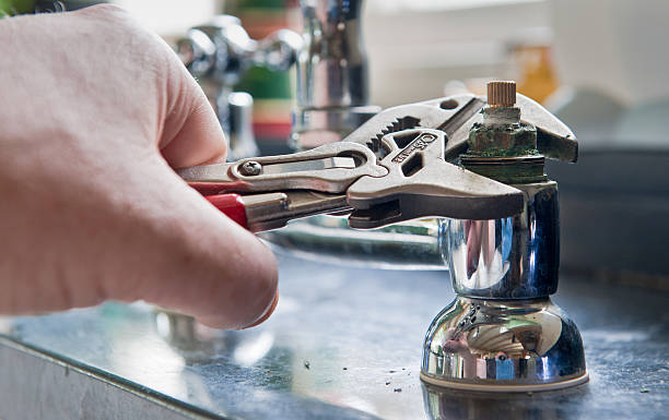Best Mold removal after water damage  in Chattahoochee, FL