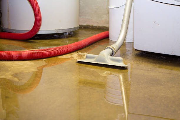 Best Flood damage cleanup  in Chattahoochee, FL