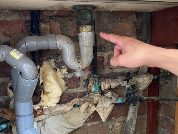 Best Mold removal after water damage  in Chattahoochee, FL